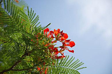 免费FPS《最终决战》预告 3月7日BETA公测